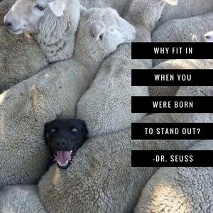 Meet your Posher, Catherine